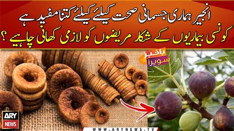 Figs In Urdu