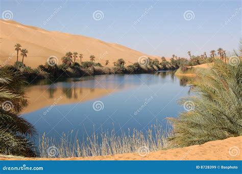 An Oasis In The Desert Stock Photography | CartoonDealer.com #88996466