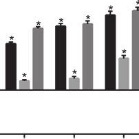 Effect Of Different Concentrations Of TDZ On Total Flavonoid And Phenol