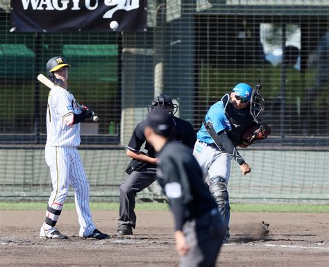 【日本ハム】強肩の田宮裕涼、阪神快足コンビ近本光司＆中野拓夢を刺す 2戦5盗塁刺 プロ野球写真ニュース 日刊スポーツ