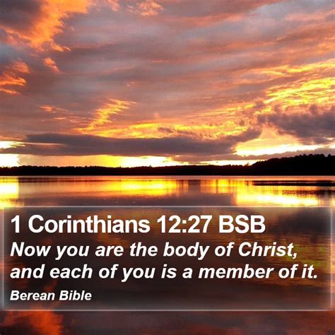 1 Corinthians 12 27 Bsb Now You Are The Body Of Christ And Each Of You