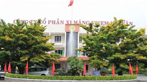 Khai sai thuế thu nhập Xi măng Vicem Hải Vân bị phạt và truy thu hàng