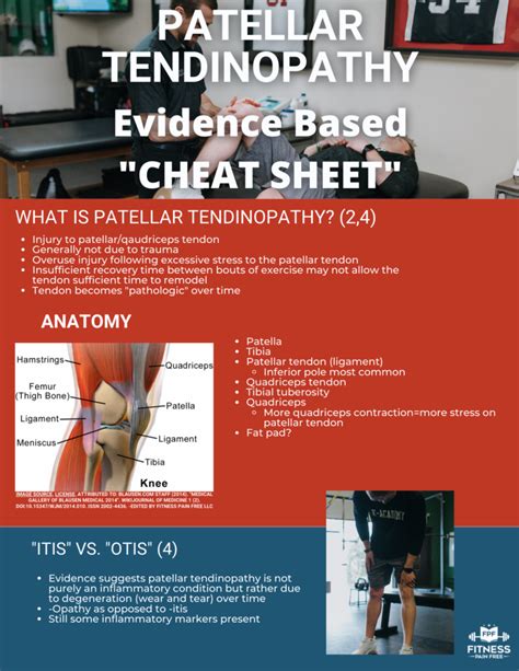 Patellar And Quadriceps Tendinopathy Evidence Based Guide Diagnosis