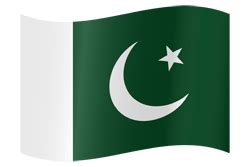 Pakistan flag vector - Country flags