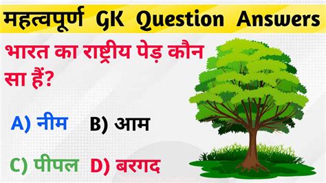 Top 15 Gk Questions Gk In Hindi Gk Question And Answers Gk