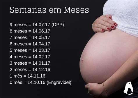 Quantas Semanas O Bebe Mexer LIBRAIN