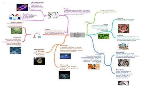 Mapa Mental Sobre Ciencias Naturales 2023 Ragino Porn Sex Picture