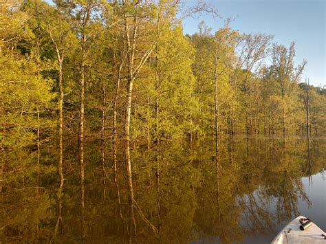 Kayaking towards my camping spot. Kentucky Lake 30 April 2018 : r ...