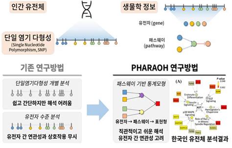 1월 과학자상에 박태성 교수···대용량 유전체 분석