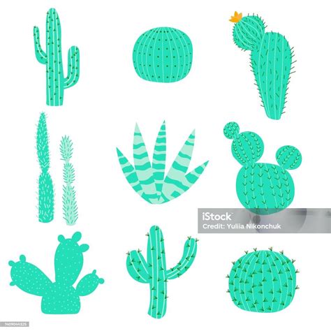 Set Of Vector Illustrations With Flat Cactus Bright Colors Cacti With