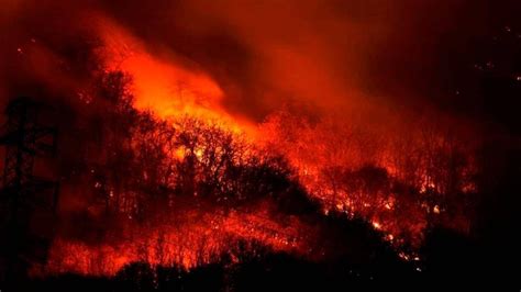 Bosco In Fiamme A Sorico Multa Di 13 Milioni Per Due Giovani