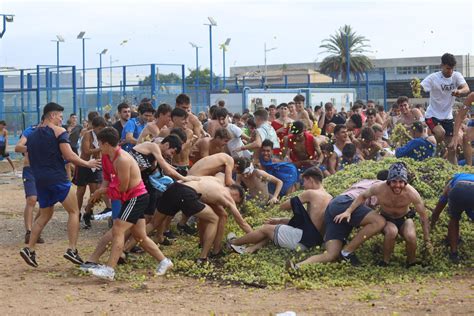 Festes Des Vermar De Binissalem Vuelve La Multitudinaria Batalla De Uvas