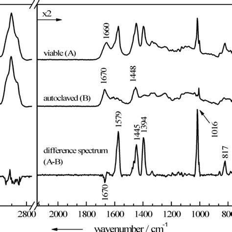 Baseline Corrected Mean Raman Spectra Each Calculated From 20 Download Scientific Diagram