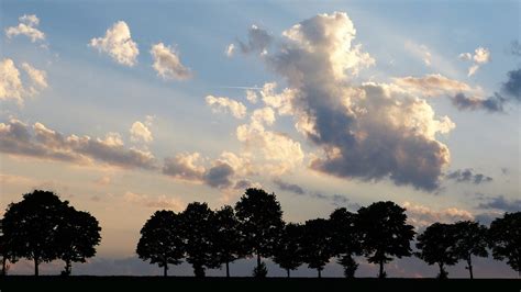 Der Sterbeprozess Bei Demenz So Bist Du Gut Vorbereitet