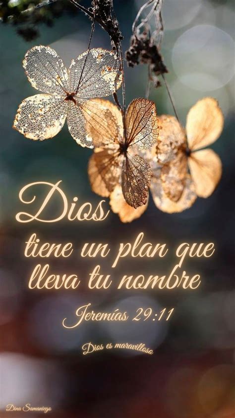 Dios tiene un plan que lleva tu nombre Jeremías 29 11 Biblical Verses