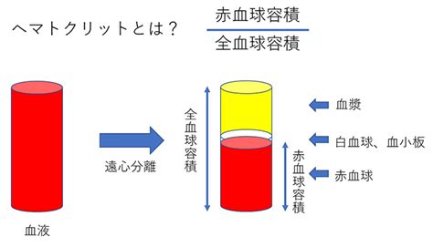 多血症について ｜ 国立長寿医療研究センター