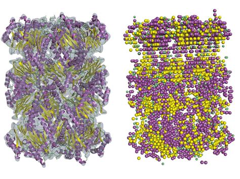 New Software Brings Lower Resolution Cryo Em Maps Into Focus Science