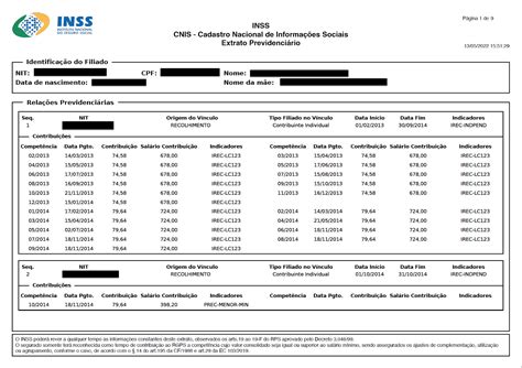 O Que Cnis E Para Que Serve Dicas Para Advogados Previdenciaristas