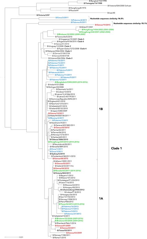 Phylogenetic Analysis Of The Hemagglutinin Ha Nucleotide Sequences Download Scientific