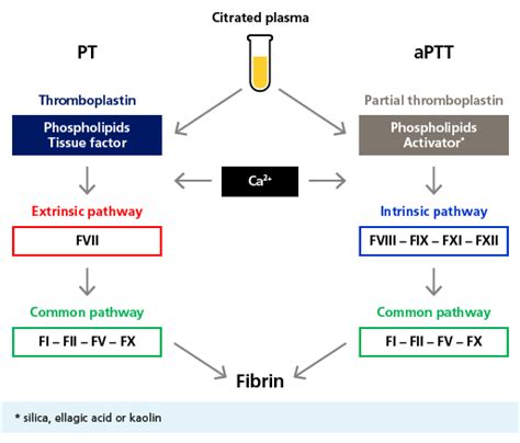 Clot Based Activity Assays