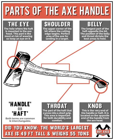 Axe Anatomy: Identifying The 11 Parts of an Axe - Buy Axes Online