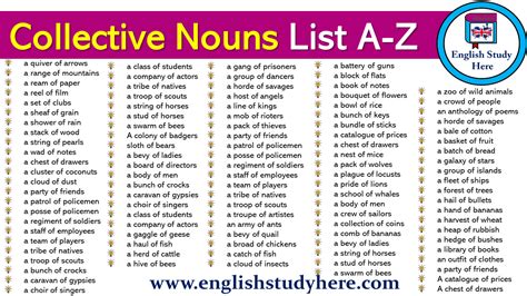 Collective Nouns List A Z Collective Nouns English Collective Nouns