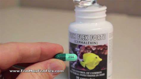 Fish Flex Forte Cephalexin 500 Mg Fish Antibiotic Youtube