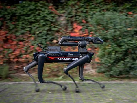 Il Cane Robot Dei Carabinieri A Sanremo Ecco Come Funziona L