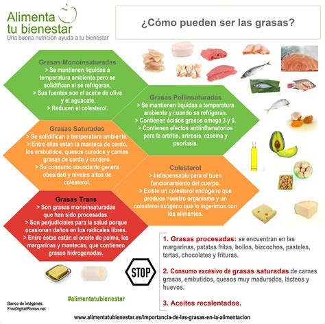 La Importancia De Las Grasas En La Alimentación