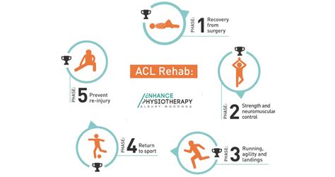 ACL Rehabilitasyonunda Pliometrik Antrenmanlar Ne Zaman ve Nasıl