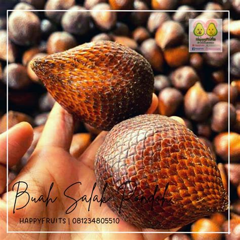 Jual Buah Salak Pondoh Happyfruits Kg Indonesia Shopee Indonesia