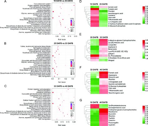 Kegg Pathway Enrichment Analysis Of Dems In A 10 Vs 25 Dafb B 25