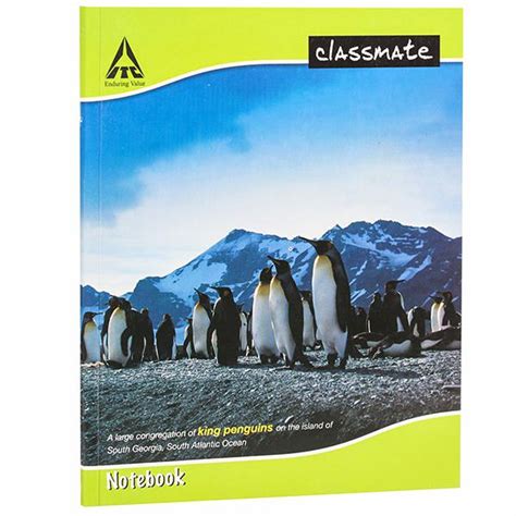 Buy Classmate Unruled Notebook 21 Cm X 17 Cm 380 Pages Online At Best