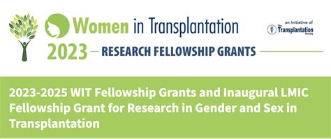 2023 2025 Wit Fellowship Grants And Inaugural Lmic Fellowship Grant For