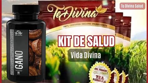 Te Divina Y Ganoderma Kit De Salud De Vida Divina YouTube