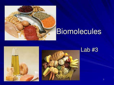 Ppt Biomolecules Powerpoint Presentation Free Download Id1800990