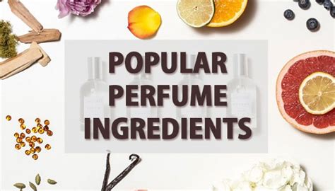 Popular Perfume Ingredients From A to Z - MostlyGifts.com