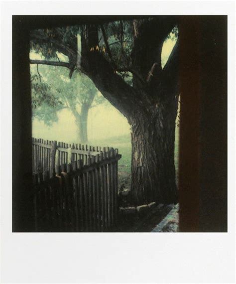 Andrei Tarkovskys Polaroids‎ Polaroid Photography Tarkovsky