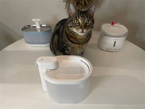 5 Best Cat Water Fountains August 2023 Technomeow