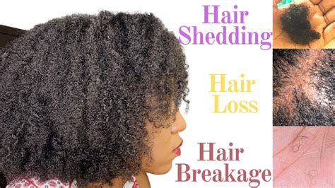 Hair Shedding Vs Hair Loss Vs Hair Breakage What Your Natural Hair Is Actually Going Through