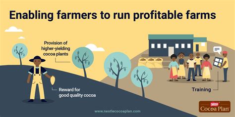 Nestlé S 100 Sustainable Cocoa A First For The Industry