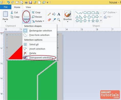 How To Resize Transparent Png Image In Paint Printable Templates Free