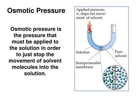 PPT Colligative Properties Of Solutions PowerPoint Presentation Free