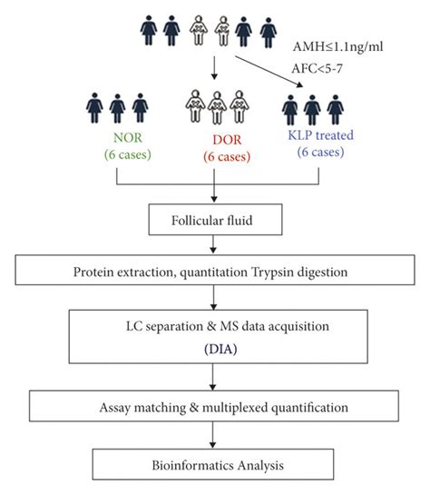 Experimental Design And Workflow Download Scientific Diagram