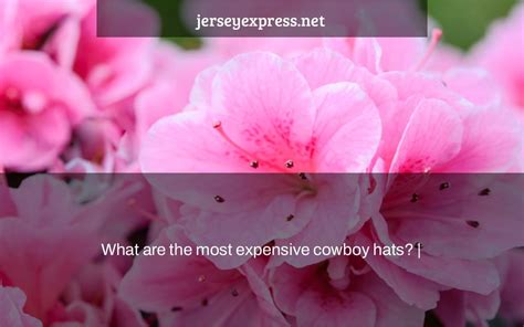 What Are The Most Expensive Cowboy Hats Jersey Express
