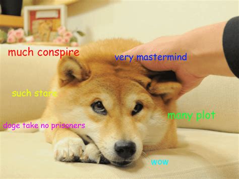 Doge is evil genius : r/doge