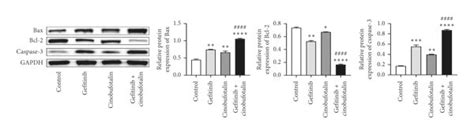 Combination Of Cinobufotalin And Gefitinib Induces A549 Cells