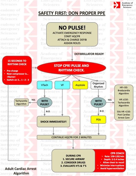 Acls Covid Algorithms Adult Bradycardia With A Pulse Algorithm Adult