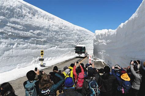 【富山】アルペンルート全線開通 雪の大谷 迫力さらに：北陸中日新聞web