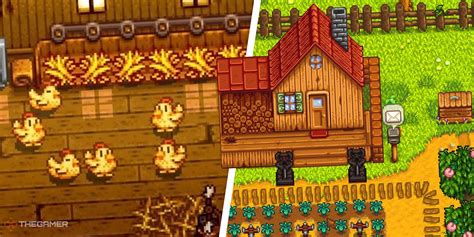 Stardew Valley: How To Get A Golden Chicken